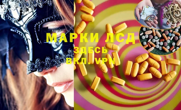 спайс Богданович