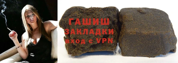 индика Бородино