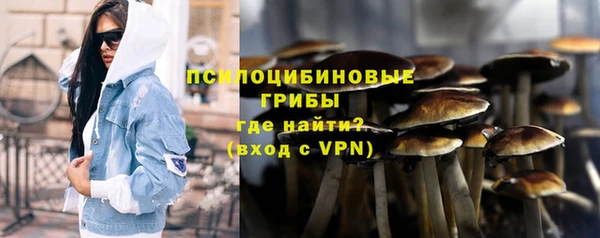 2c-b Богородск