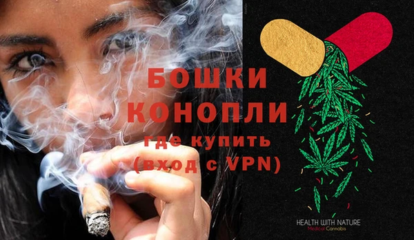 спайс Богданович