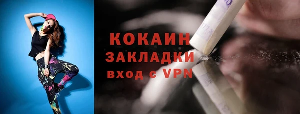 крисы Бронницы