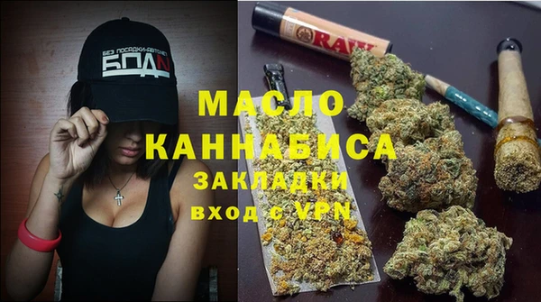молекула духа Богородицк