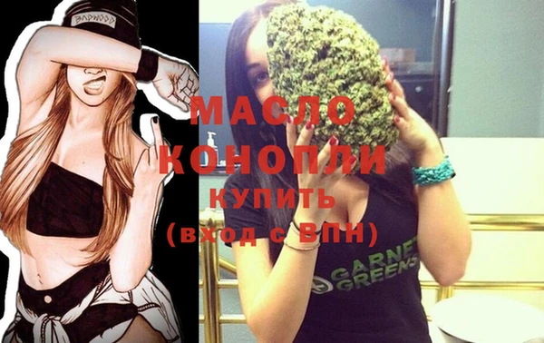 молекула духа Богородицк