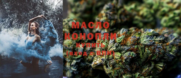 молекула духа Богородицк