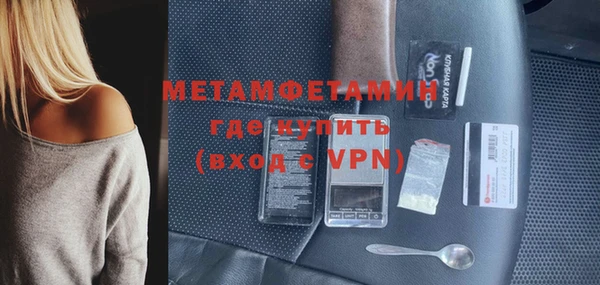 индика Бородино