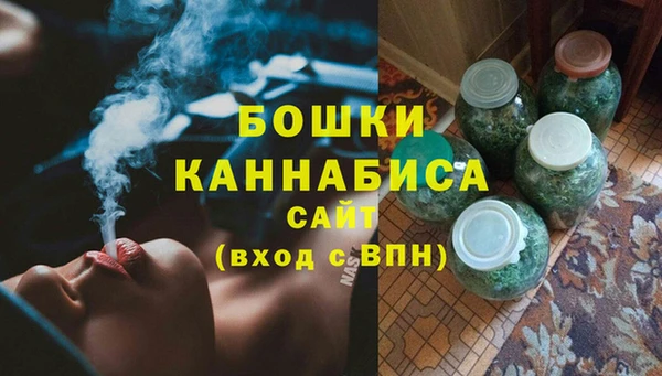 спайс Богданович
