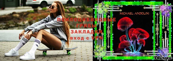 2c-b Богородск