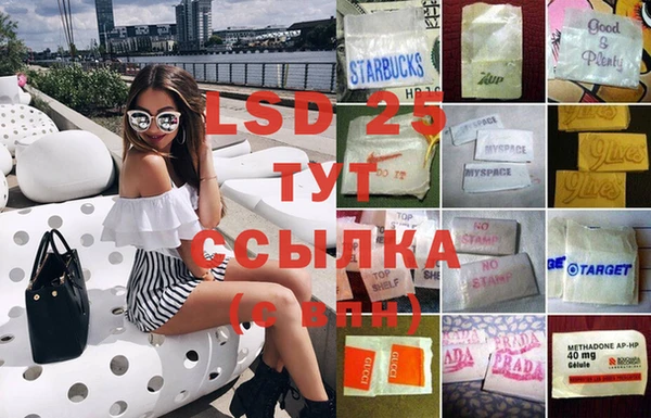 спайс Богданович