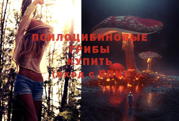 спайс Богданович