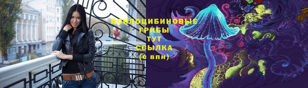молекула духа Богородицк