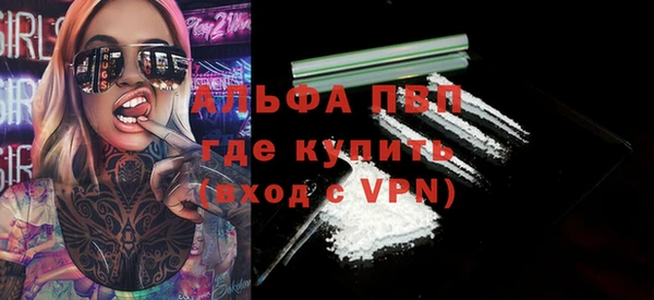 спайс Богданович
