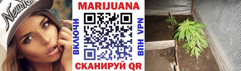 Шишки марихуана гибрид  Купить закладки  Стародуб 